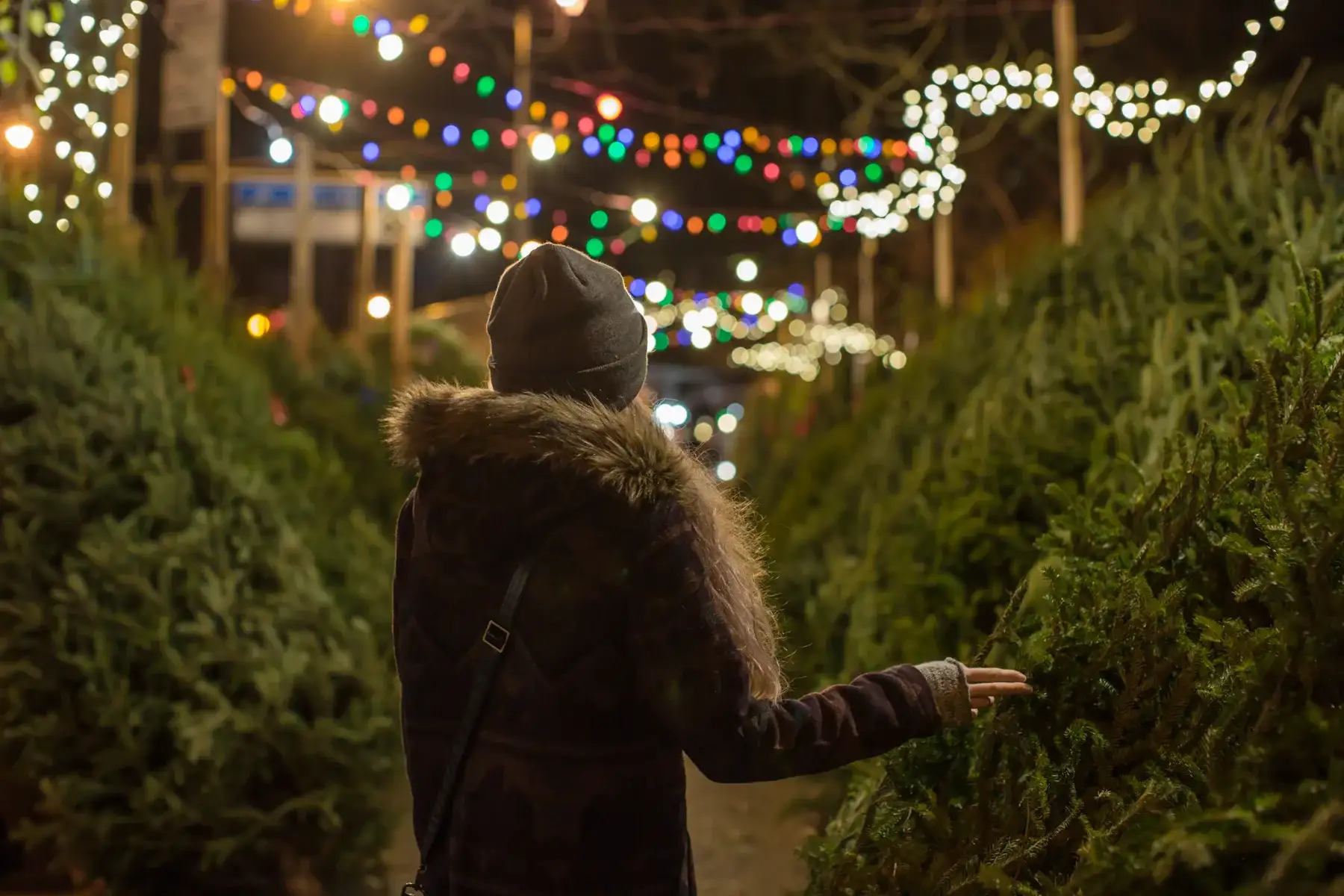 Alster Weihnachtsmarkt