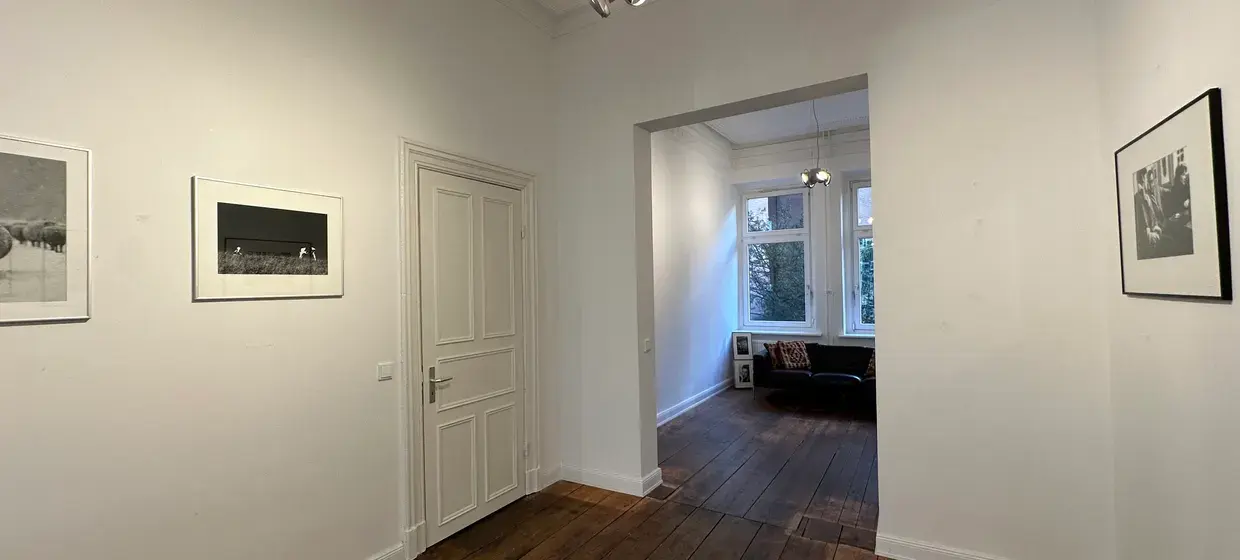 Gallery Lazarus – Eindrücke 4